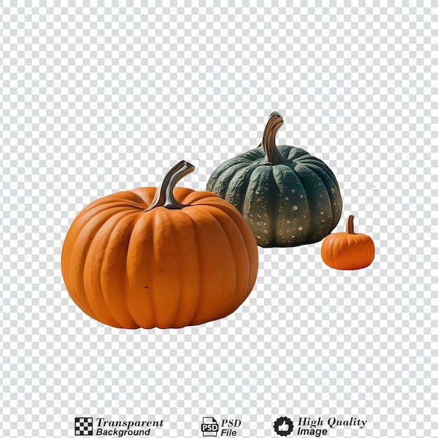 Three pumpkins of different colors isolated