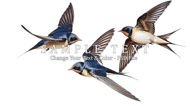 Three Swallows in Flight