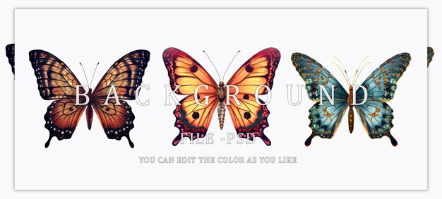 PSD three vibrant butterflies on white background