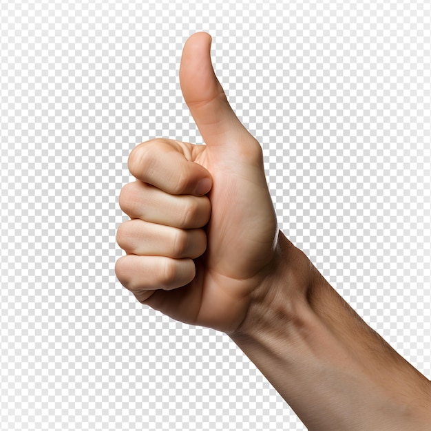 thumbs up finger poselike gesturegenerative ai