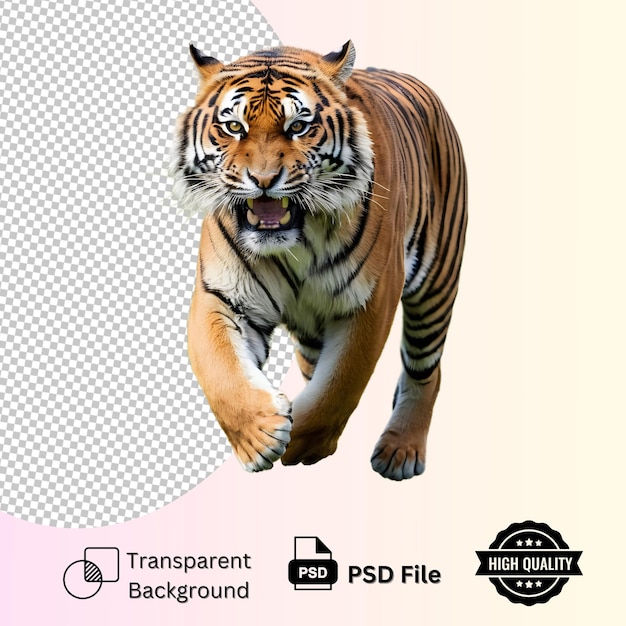 PSD tiger isolated on transparent background