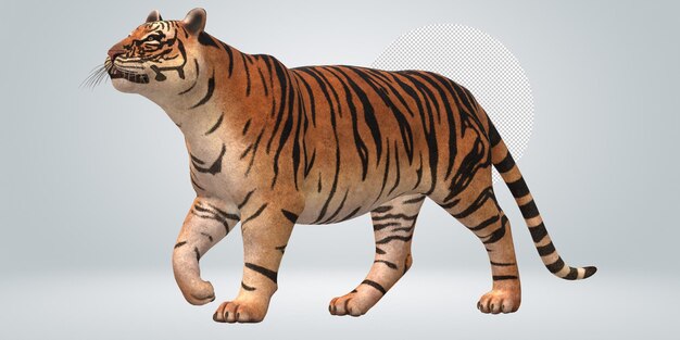 PSD tiger isolated on a transparent background