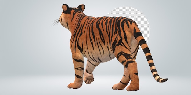 PSD tiger isolated on a transparent background