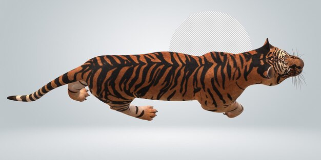 Tiger isolated on a Transparent Background