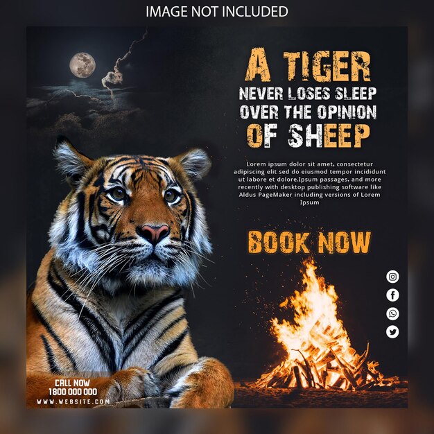 PSD tiger photo social media promotion and banner post design template