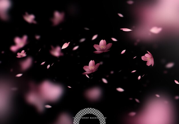 PSD tiny pink petals falling in the wind on a transparent background