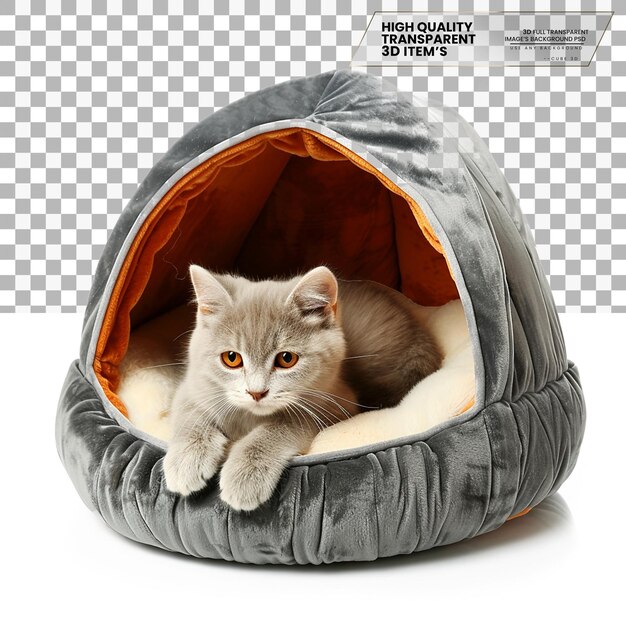 PSD title pet bed a bed designed for pets to sleep on transparent background