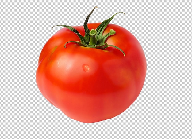 Tomato On Alpha Layer