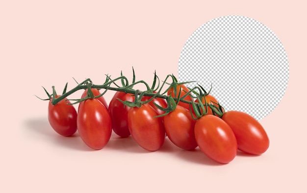 Tomato on branch mockup