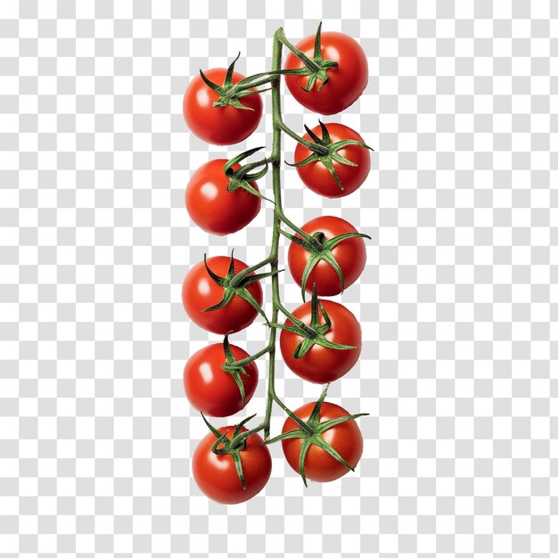 tomato ingredient vegetable isolated transparent ripe juicy raw nature clipping path cher