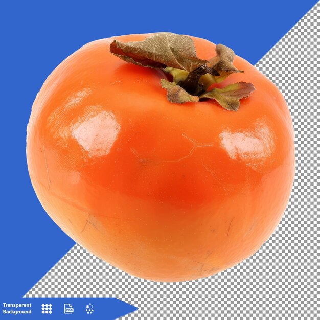 a tomato that is on a grid with a blue background