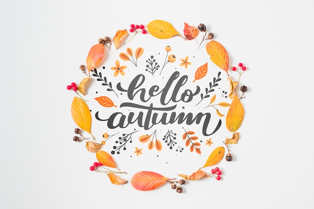 PSD top view circular autumnal frame with leaves