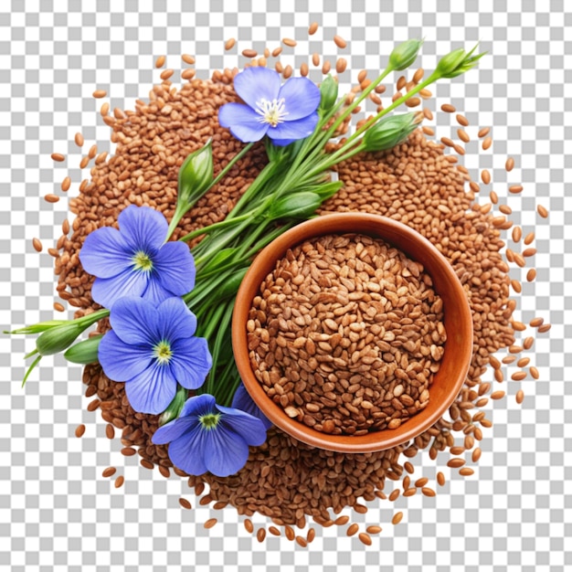 top view flax seed and flax flowers closeup on transparent background