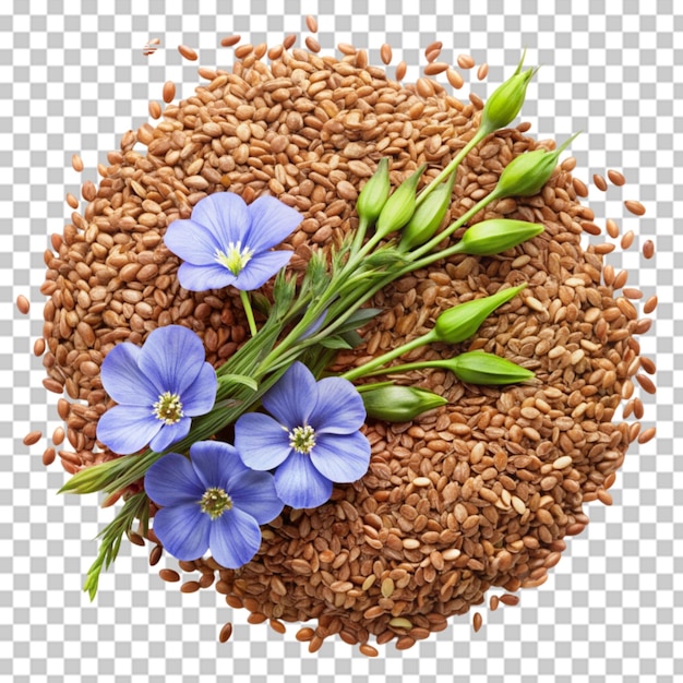 PSD top view flax seed and flax flowers closeup on transparent background