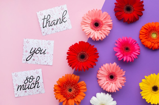 Top view of flowers and letters on pink and purple background