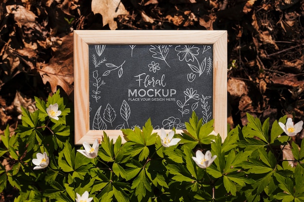 Top view of frame mock-up with leaves and vegetation