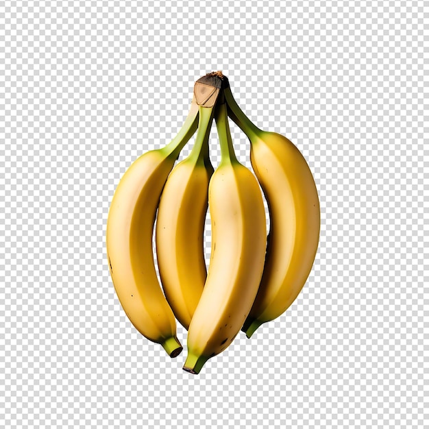 Top view of ripe baby bananas isolated on transparent background