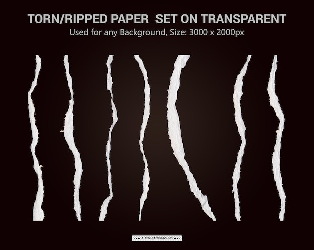 Torn paper realistic transparent set