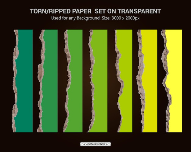 Torn paper realistic transparent set