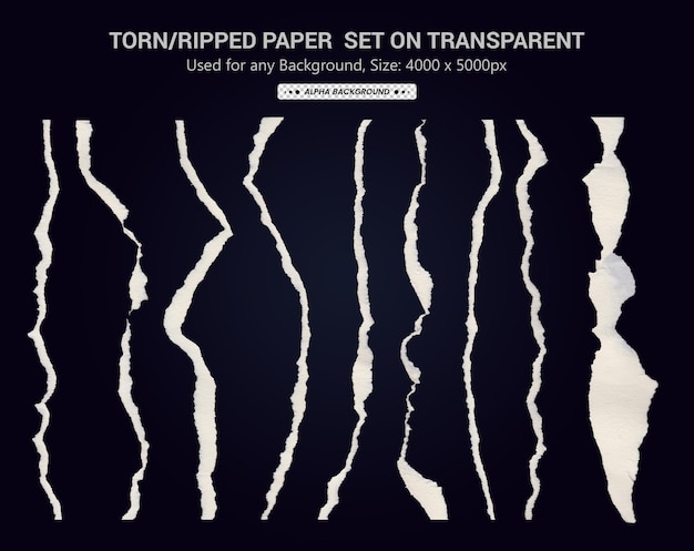 Torn Paper Set