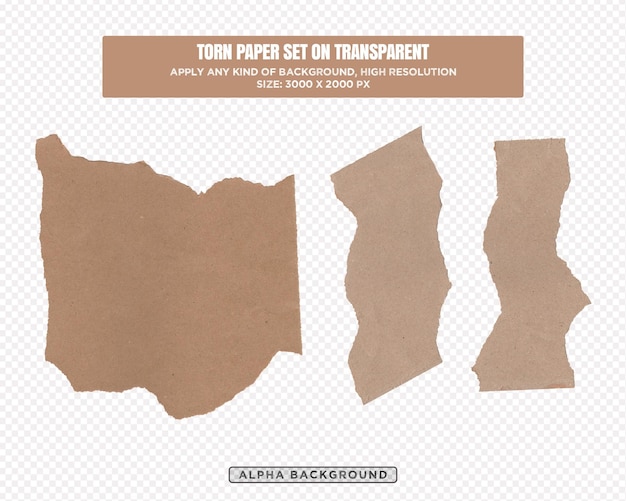 Torn paper transparent background for the paper collection of paper cut