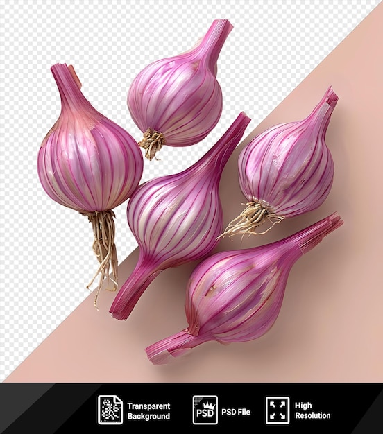 Transparent background Indian shallots isolated on white clipping path included PNG PSD