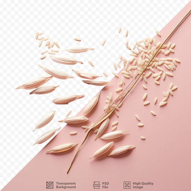 PSD transparent background photo of rice seeds