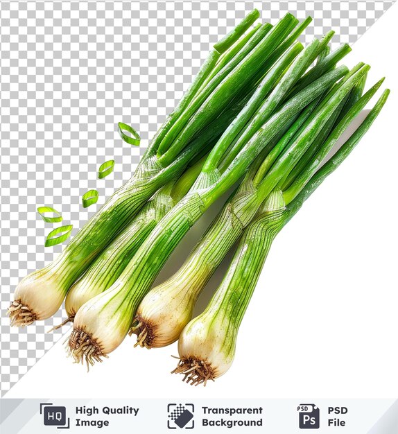 Transparent background psd vibrant green onion brushes watercolor effect set isolated