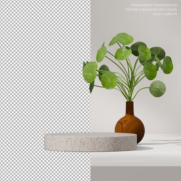 PSD transparent background of terrazzo cylinder podium in square peperomia plant 3d render image