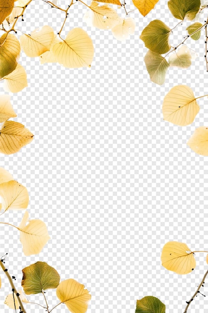 PSD a transparent background with gold leaf and leaf