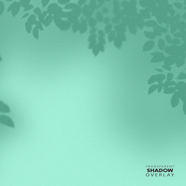 Transparent plant leaf shadow overlay template