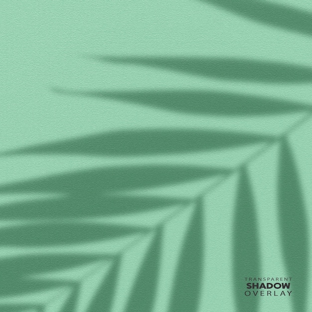 Transparent plant leaf shadow overlay template