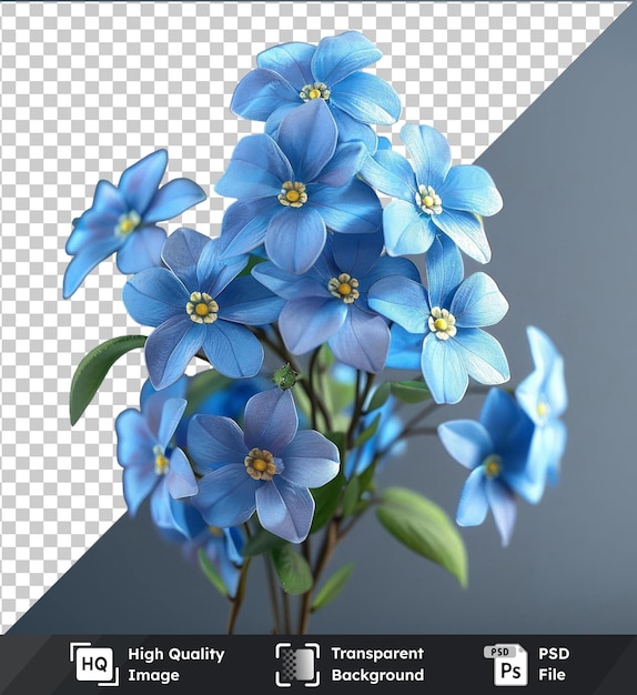 Transparent premium psd picture of blue and white forget me nots