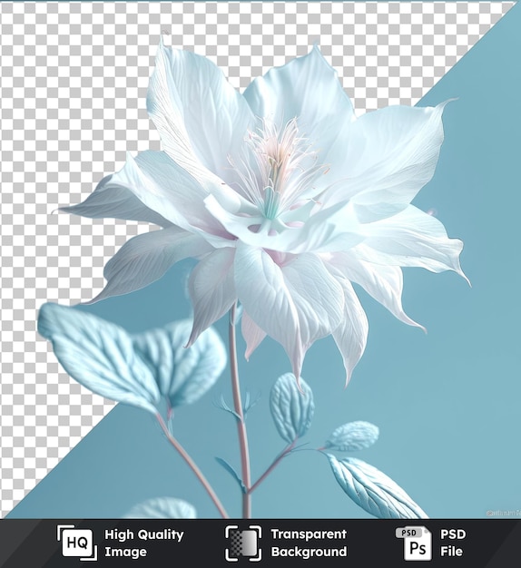 transparent psd picture columbine flower with white petals and green leaves against a clear blue sky