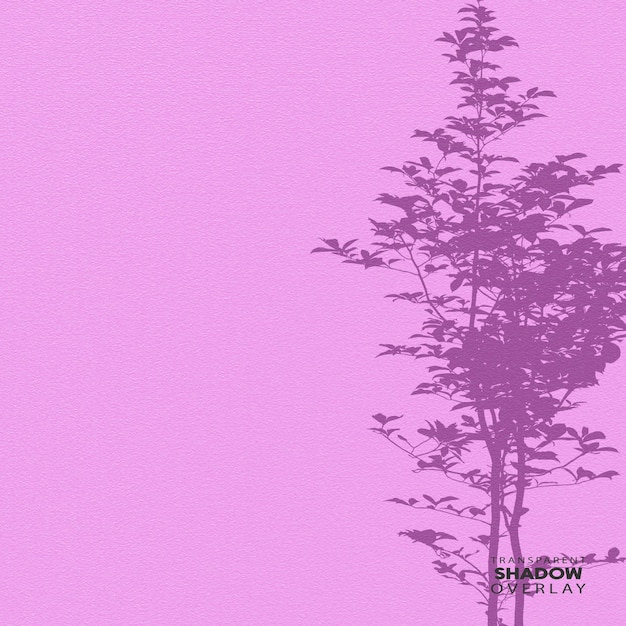 Transparent Tree Shadow Overlay Template