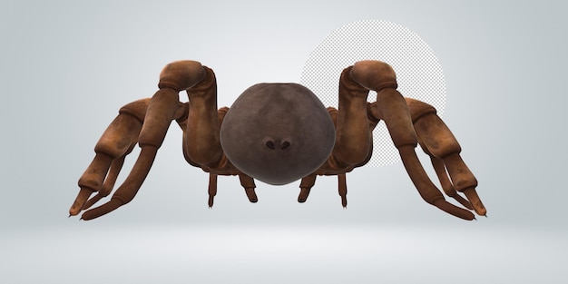 Trapdoor Spider isolated on a Transparent Background