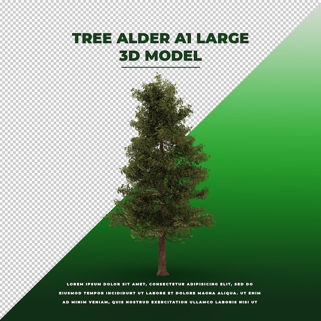 Tree Alder 3D isolated model