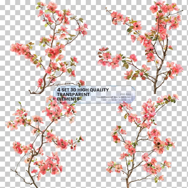 PSD tree branch flower photo overlays summer spring pai on transparent background