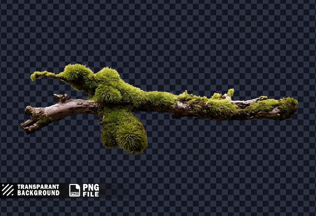 PSD a tree branch with a green moss on it