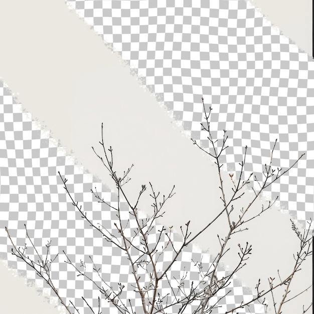 PSD a tree branch with no leaves on it