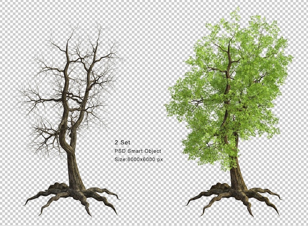 Tree and dead tree isolated 3d render