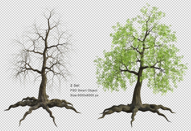 Tree and dead tree isolated 3d render