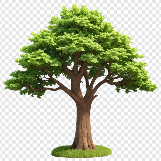 PSD tree png isolated on transparent background