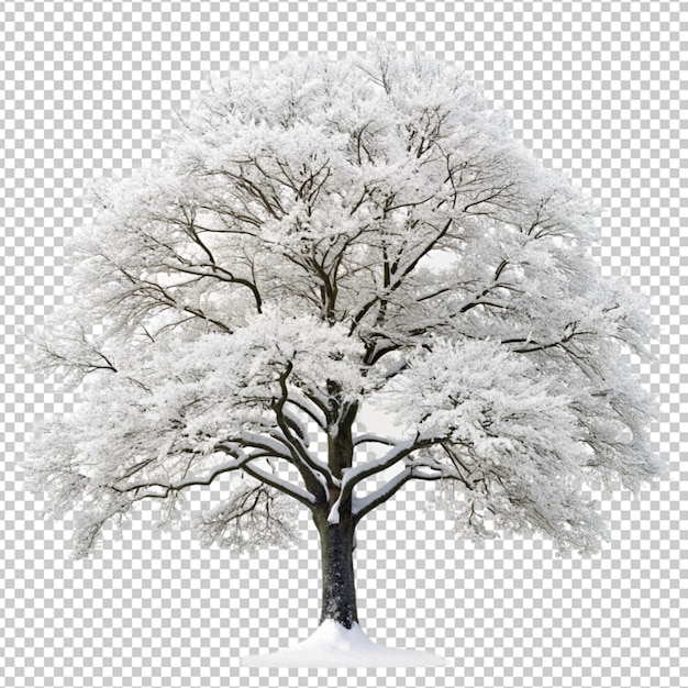 tree snow