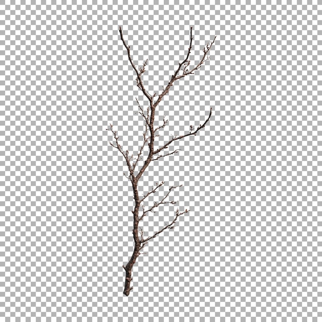 PSD tree stem blank on transparent background ai generated