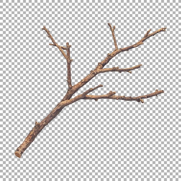 PSD tree stem blank on transparent background ai generated