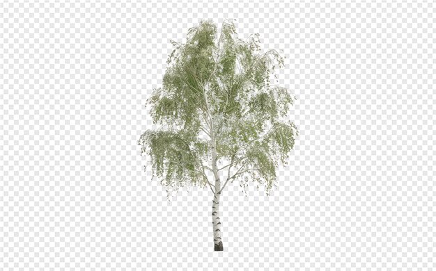 PSD tree on a transparent background