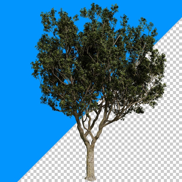 a tree with a blue background and the word tree on it