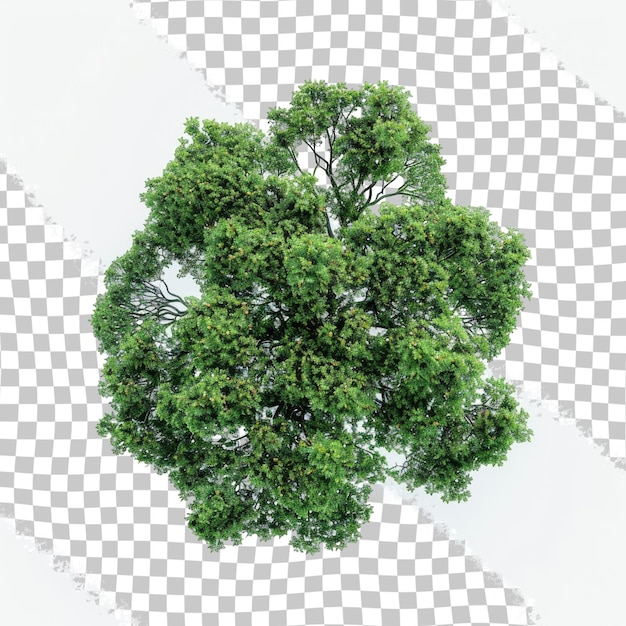 a tree with green leaves on it is shown on a checkered background