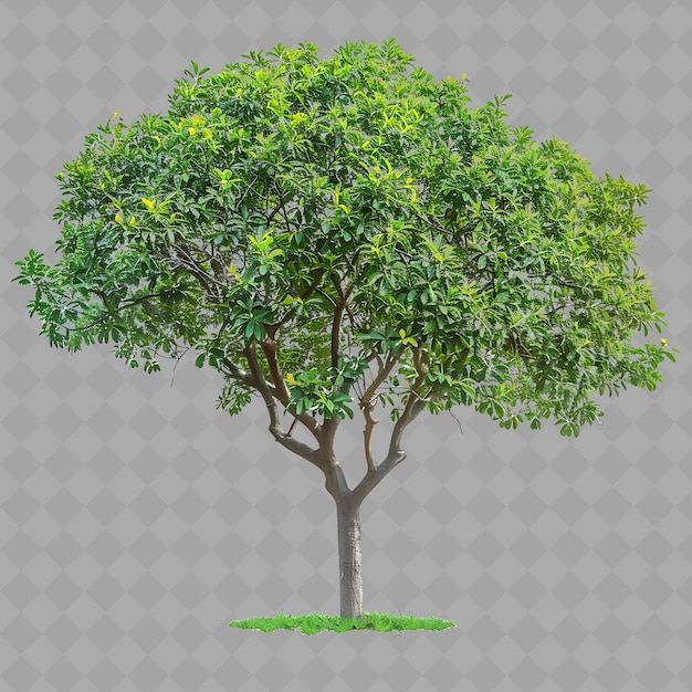 a tree with a green tree and a gray background